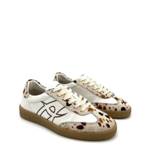 Ambitious  14129WA-7437AM